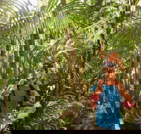 Canungra - Holiday Jervis Bay