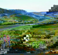 Chittering - Holiday Jervis Bay