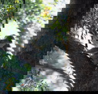 Daisy Hill - Holiday Jervis Bay