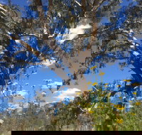 Euroa Arboretum - Holiday Jervis Bay