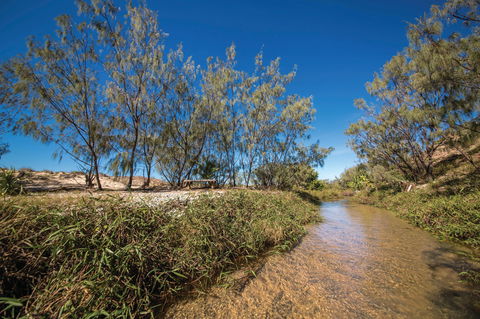 Freshwater Creek Track, Byfield National Park - Holiday Jervis Bay 0