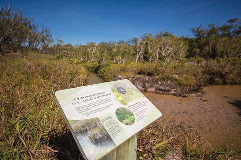Freshwater Creek Track, Byfield National Park - Holiday Jervis Bay 1