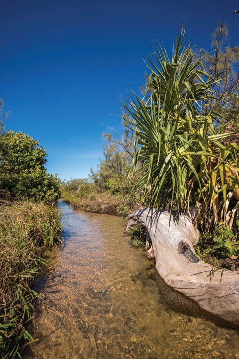 Freshwater Creek Track, Byfield National Park - Holiday Jervis Bay 2