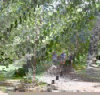 Hay Free Push Bikes - Holiday Jervis Bay