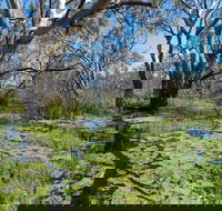 Macquarie Valley Trails - Holiday Jervis Bay