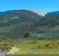 Monument Hill Walking Track - Holiday Jervis Bay