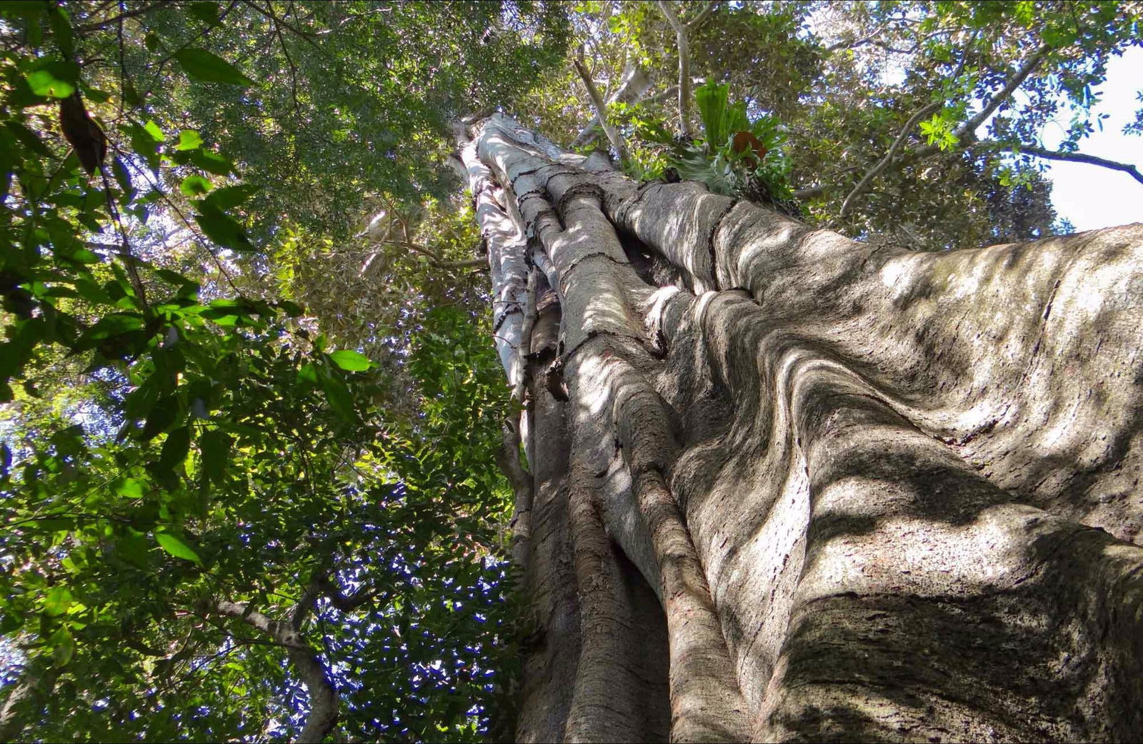Northern Rivers And Tropical Nsw NSW Holiday Jervis Bay