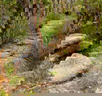 Mount Olive Trail - Holiday Jervis Bay