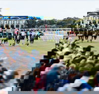 Oakbank - Holiday Jervis Bay