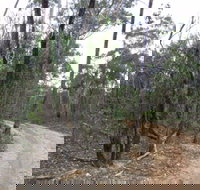 Paddys Ranges State Park - Holiday Jervis Bay