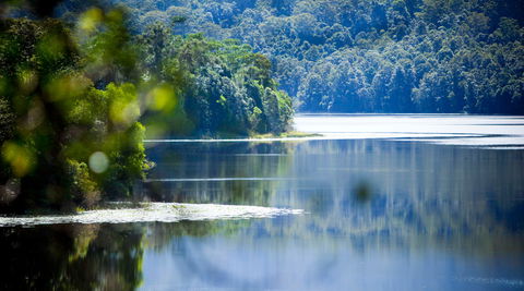 Rocky Creek Dam - Holiday Jervis Bay 0