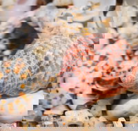 Stokes National Park - Holiday Jervis Bay