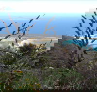 Strzelecki Peaks Great Short Walk - Holiday Jervis Bay