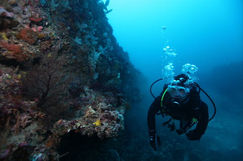 Twelve Apostles Marine National Park - Holiday Jervis Bay 0