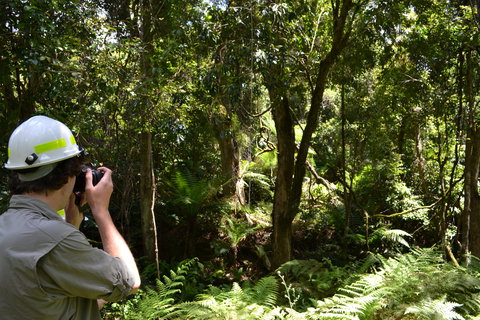 Alfred National Park - Holiday Jervis Bay 0