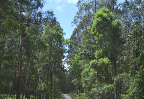 Alfred National Park - Holiday Jervis Bay 1