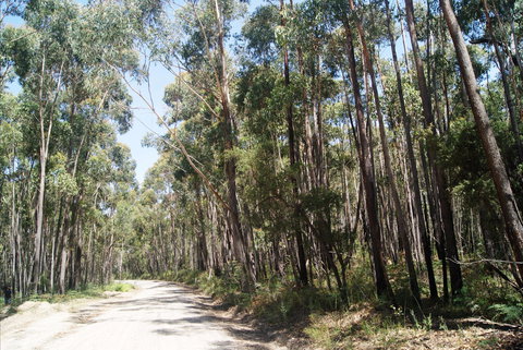 Alfred National Park - Holiday Jervis Bay 2