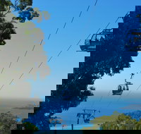 Arthurs Seat Eagle - Holiday Jervis Bay