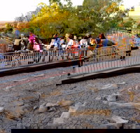 Australian Age of Dinosaurs - Holiday Jervis Bay