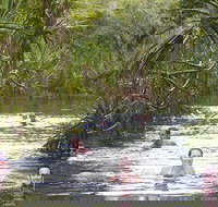 Berry Springs - Holiday Jervis Bay