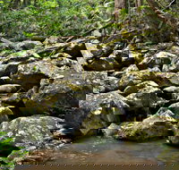 Booyong Walking Track - Holiday Jervis Bay