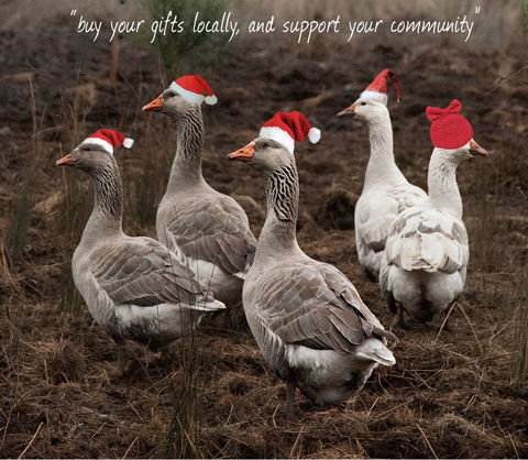 Bream Creek Farmers Market - Holiday Jervis Bay 1