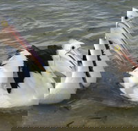 Chinaman Wells - Holiday Jervis Bay