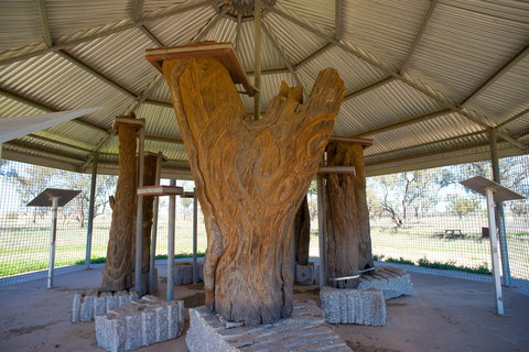 Collymongle Carved Trees - Holiday Jervis Bay 2