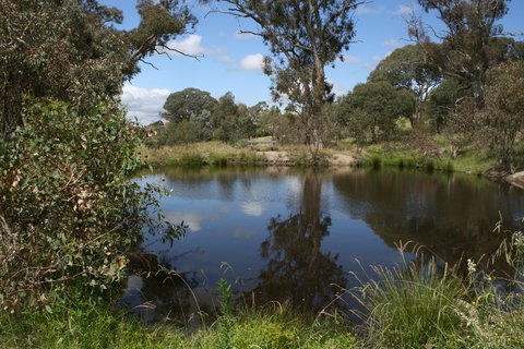 Cooleman Ridge - Holiday Jervis Bay 0