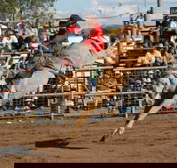 Coonamble - Holiday Jervis Bay