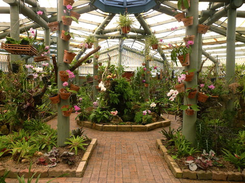 Family Fun In Mackay City - Holiday Jervis Bay 1