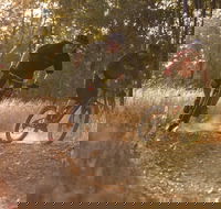 Kholo Gardens Trails - Holiday Jervis Bay