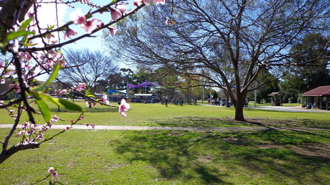 Koshigaya Park - Holiday Jervis Bay 0
