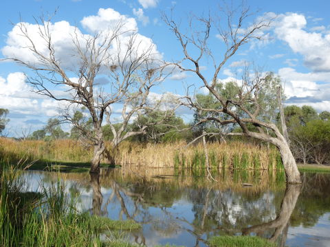 Lagoon Creek - Holiday Jervis Bay 0