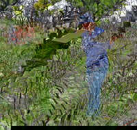 Lake Monjingup - Holiday Jervis Bay