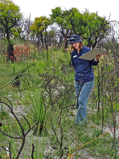 Lake Monjingup - Holiday Jervis Bay 0