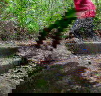 Maiala - Holiday Jervis Bay