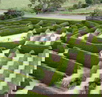 Mintaro Maze - Holiday Jervis Bay