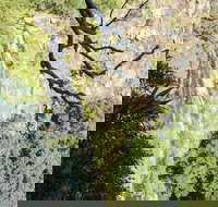 Morans Falls track Lamington National Park - Holiday Jervis Bay