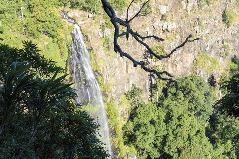 Morans Falls Track, Lamington National Park - Holiday Jervis Bay 0