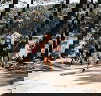 Myponga Reservoir Trail - Holiday Jervis Bay