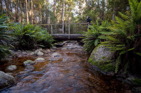 O'Neills Creek Picnic Reserve - Holiday Jervis Bay 0