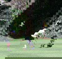 Teven Valley Golf Course - Holiday Jervis Bay