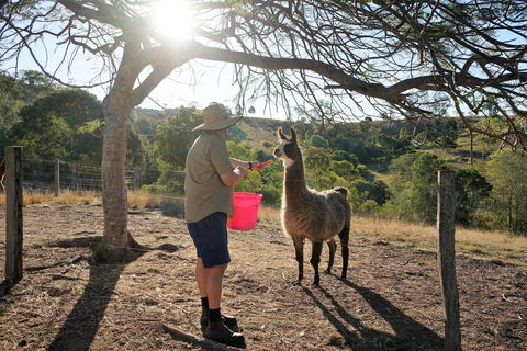 The Llama Farm - Holiday Jervis Bay 2