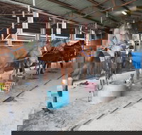 The Equine Club - Holiday Jervis Bay