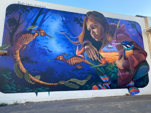 Walk The Walls Cronulla Street Art Trail - Holiday Jervis Bay 0