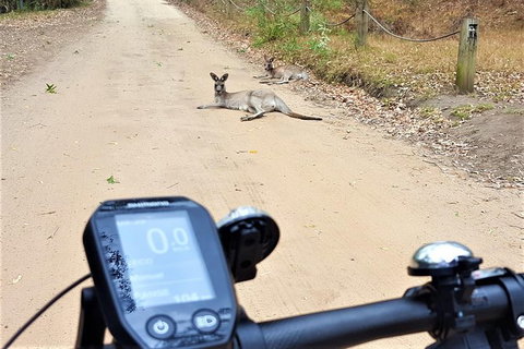 Blue Labyrinth Tour: Sydney Blue Mountains By E-Bike - Holiday Jervis Bay 4