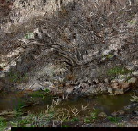 Brisbane Ranges National Park - Holiday Jervis Bay