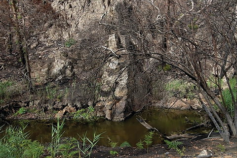 Brisbane Ranges National Park - Holiday Jervis Bay 0