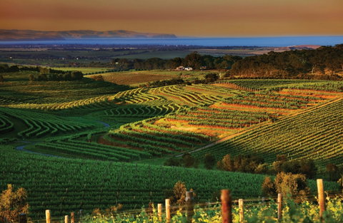 Mclaren Vale - Holiday Jervis Bay 1